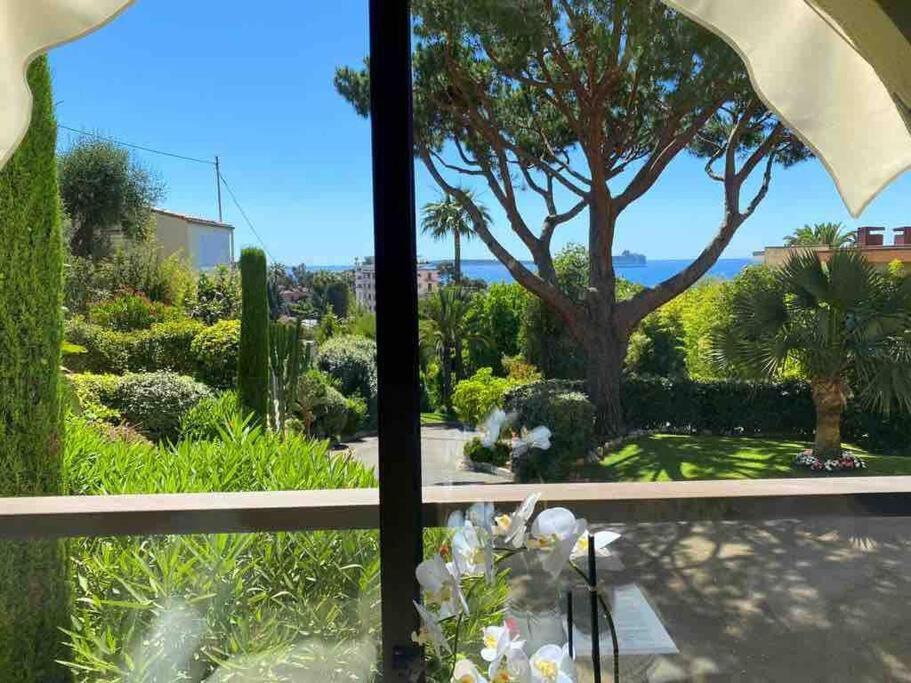 The Sun Paradise Dream Cannes Luaran gambar